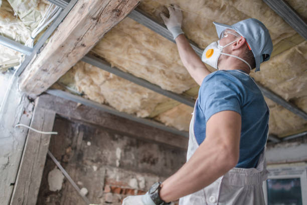 Best Insulation Maintenance and Repair in Valencia, NM